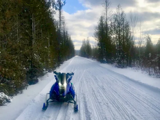 A snowmobile on a freshly groomed trail cut through pines